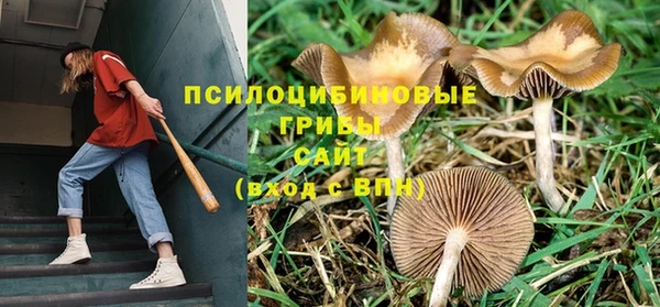 мескалин Белокуриха