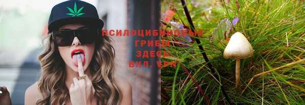 молекула духа Белоозёрский