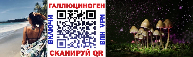 ссылка на мегу ССЫЛКА  где продают   Нерчинск  Галлюциногенные грибы MAGIC MUSHROOMS 